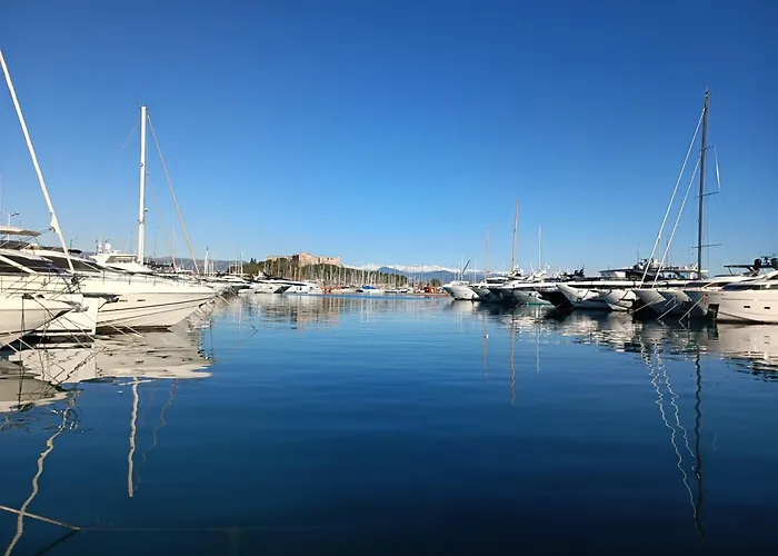 Ara 40m2 Classe Immense Terrasse 35 M2 Piscine Juan Parking Lejlighed Antibes