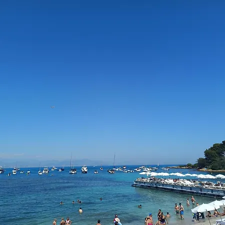 Tanit Arad Classe 40M2 Terrasse Angle 35 M2 Piscine Parking Privatif Apartment Antibes