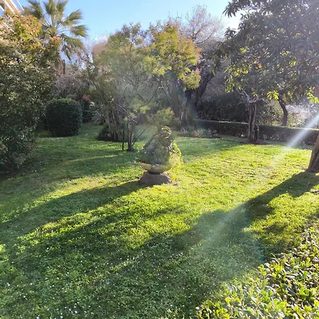 Tanit Arad Classe 40M2 Terrasse Angle 35 M2 Piscine Parking Privatif * Antibes