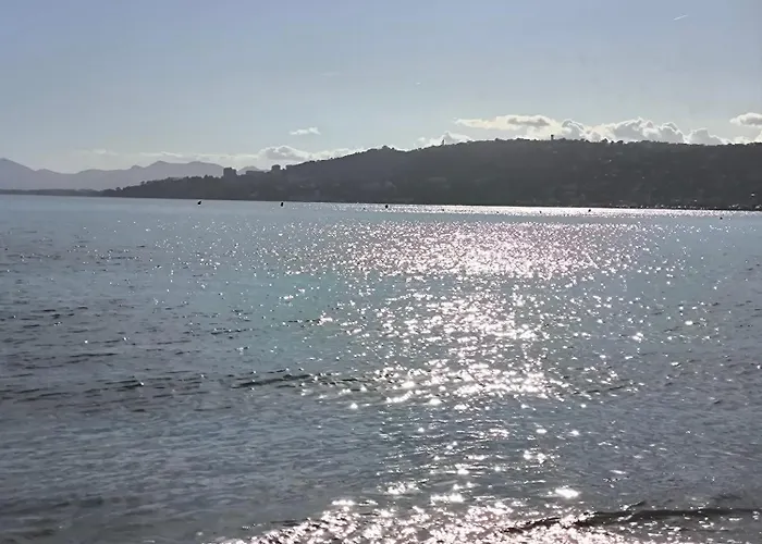 Lägenhet Ara 40m2 Classe Terrasse 35 M2 Piscine Parking